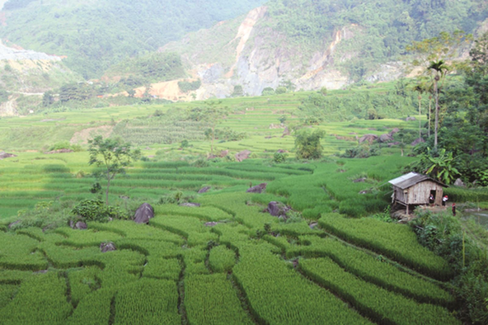Xã Hợp Thành, thành phố Lào Cai: Chú trọng nâng cao chất lượng các tiêu chí nông thôn mới