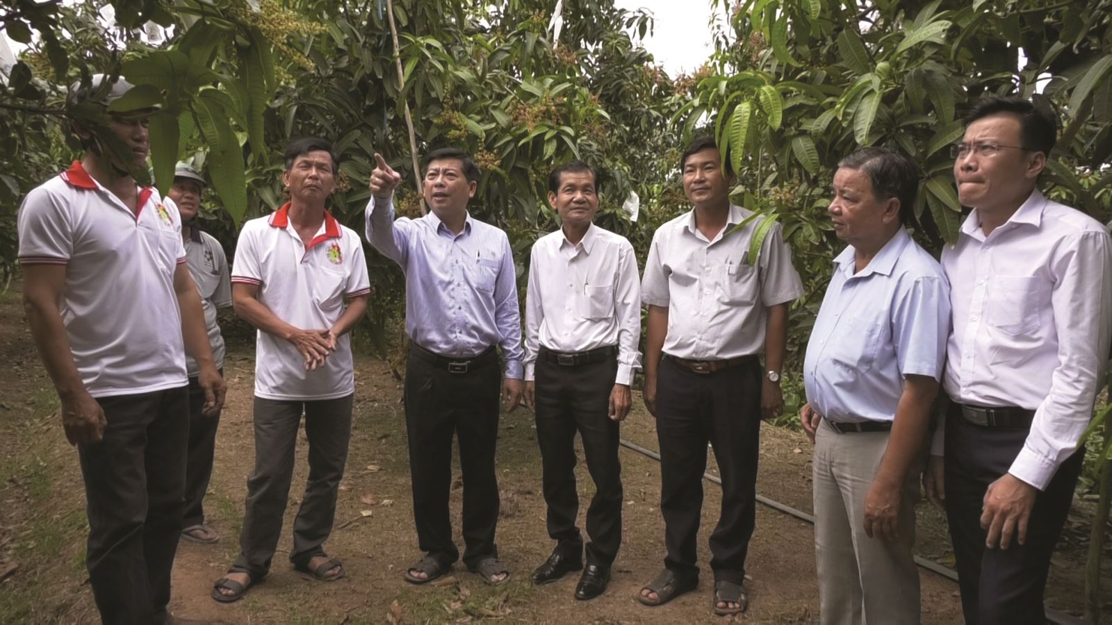 Phú Ninh quyết tâm xây dựng đạt chuẩn xã nông thôn mới trong năm 2021