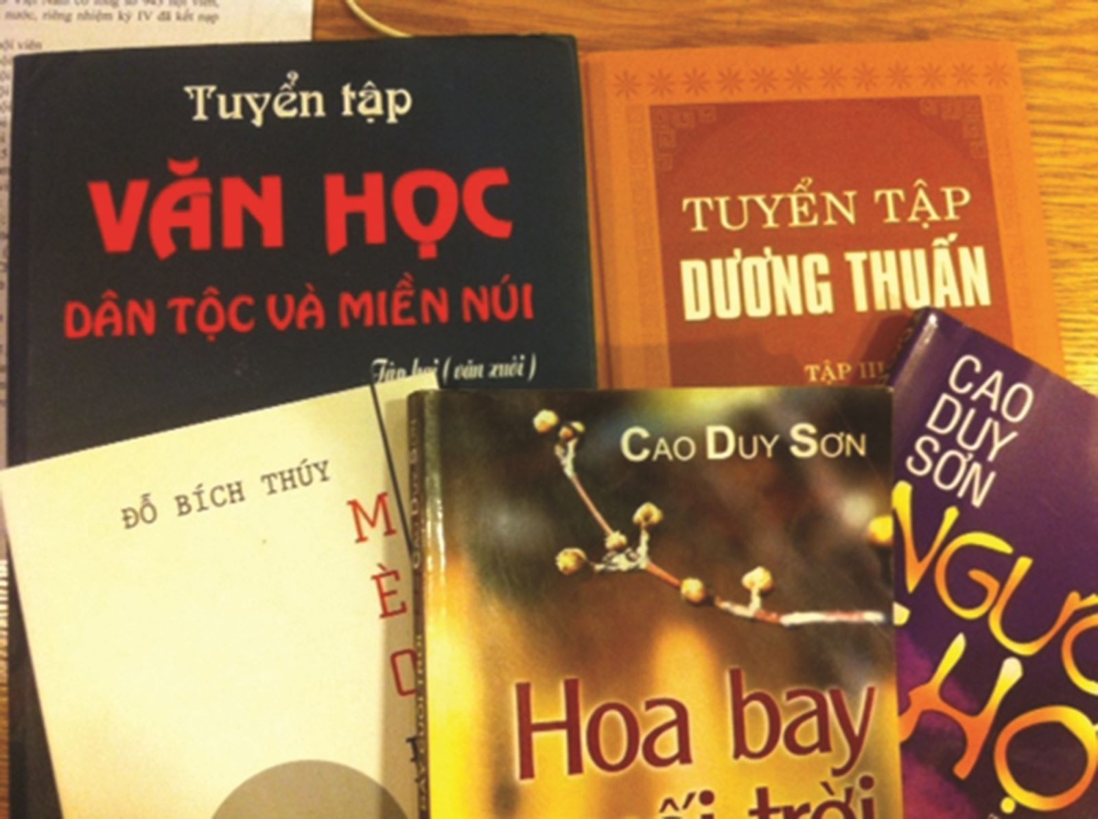 Tiếp cận văn học thiếu nhi dân tộc thiểu số Việt Nam - một số vấn đề thực tiễn