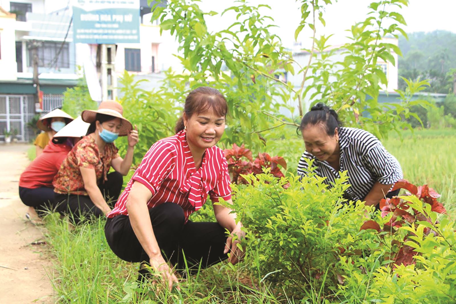 Ảnh hưởng tích cực của hương ước xưa  với quá trình xây dựng Nông thôn mới ở Phú Thọ trong giai đoạn hiện nay
