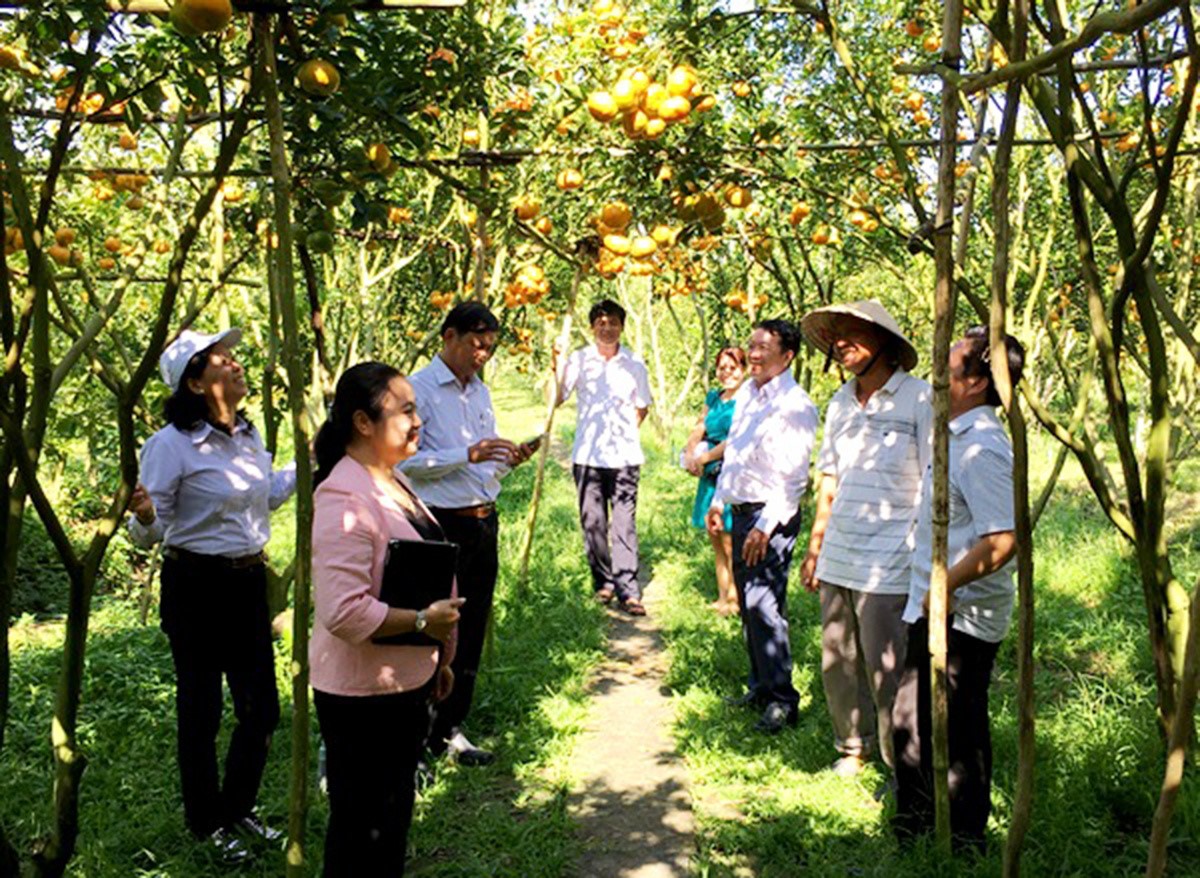 Thực trạng chất lượng hoạt động của đội ngũ cán bộ văn hóa cơ sở các tỉnh đồng bằng sông Cửu Long trong xây dựng nông thôn mới 