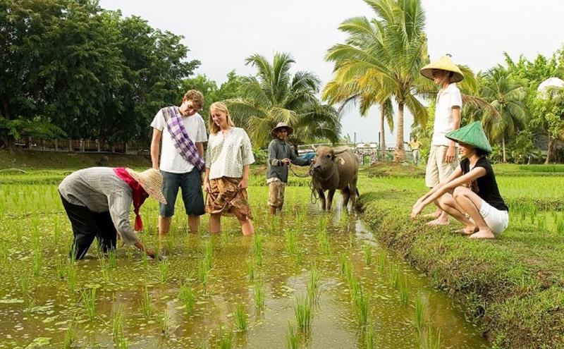 Tiềm năng phát triển thị trường du lịch nông thôn