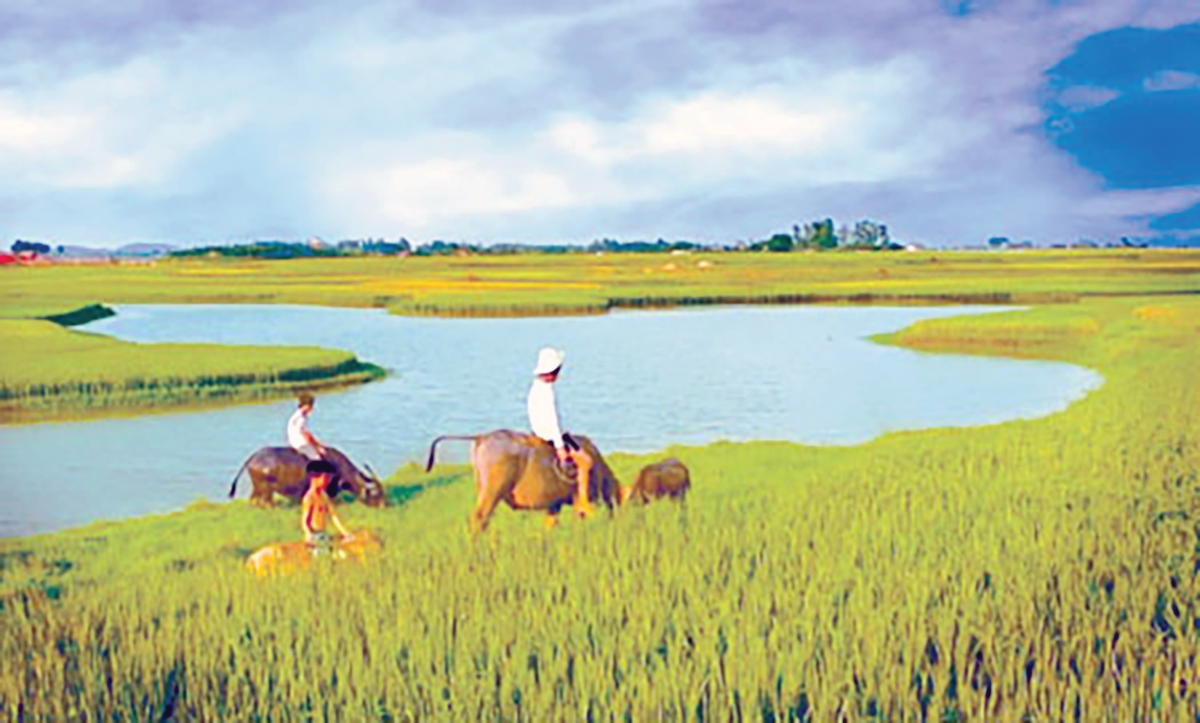 Ký ức tháng Bảy