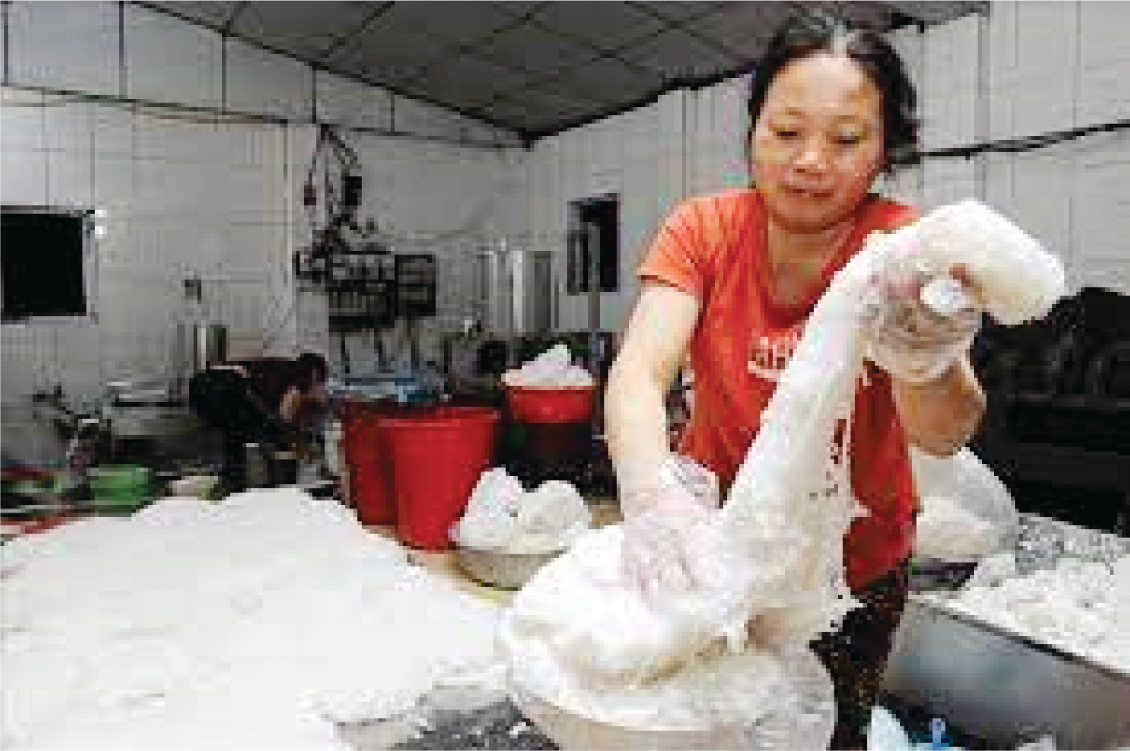 Diễn Quảng cơ cấu kinh tế, phát huy hiệu quả làng nghề