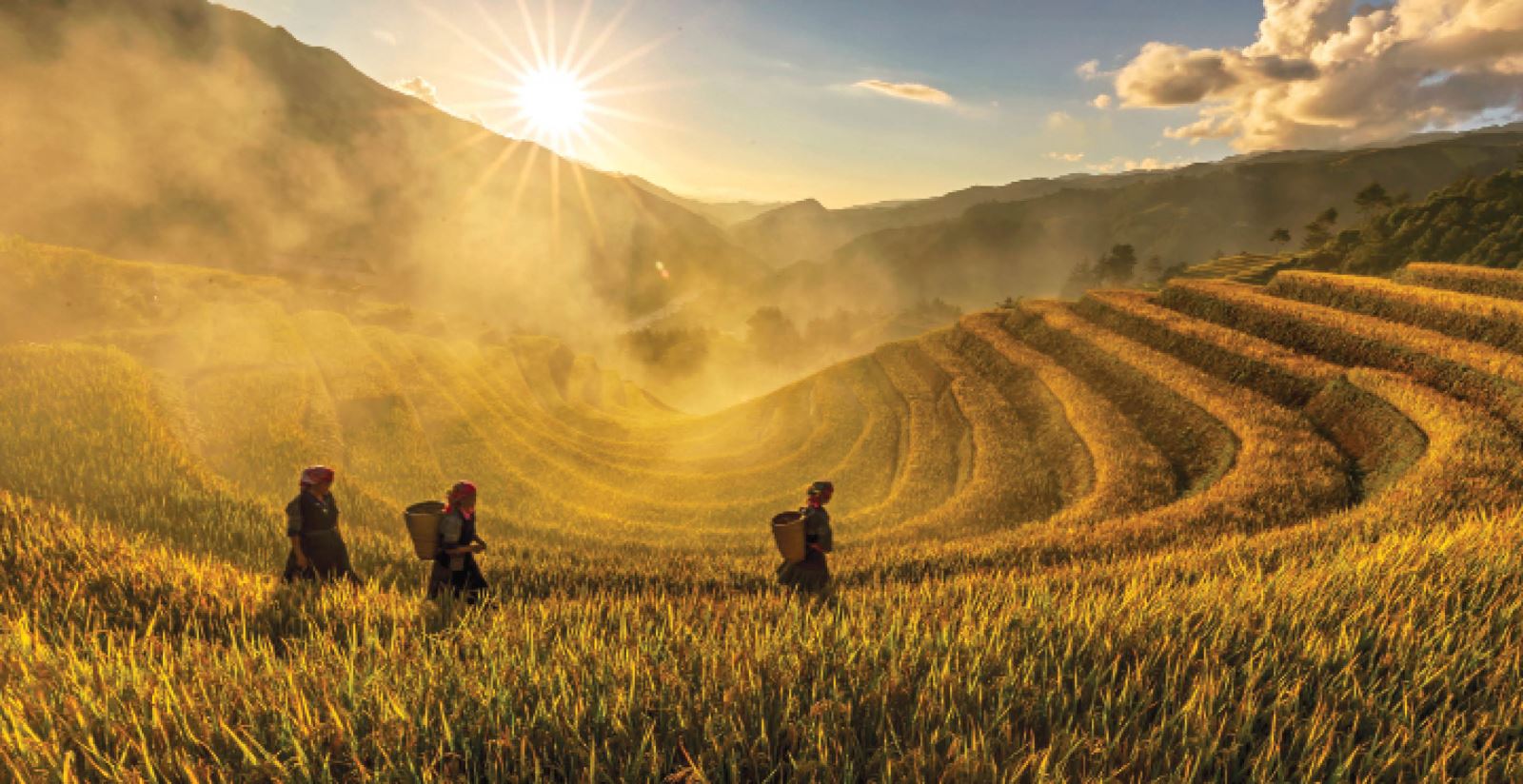 Đưa du lịch ruộng bậc thang trở thành sản phẩm đặc thù của Tây Bắc