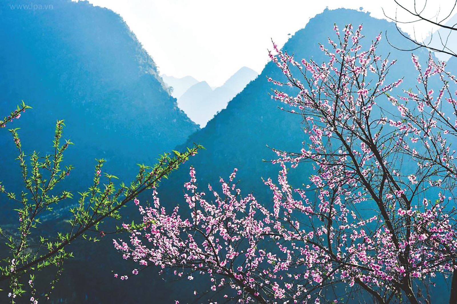 Xuân cao nguyên địa chất