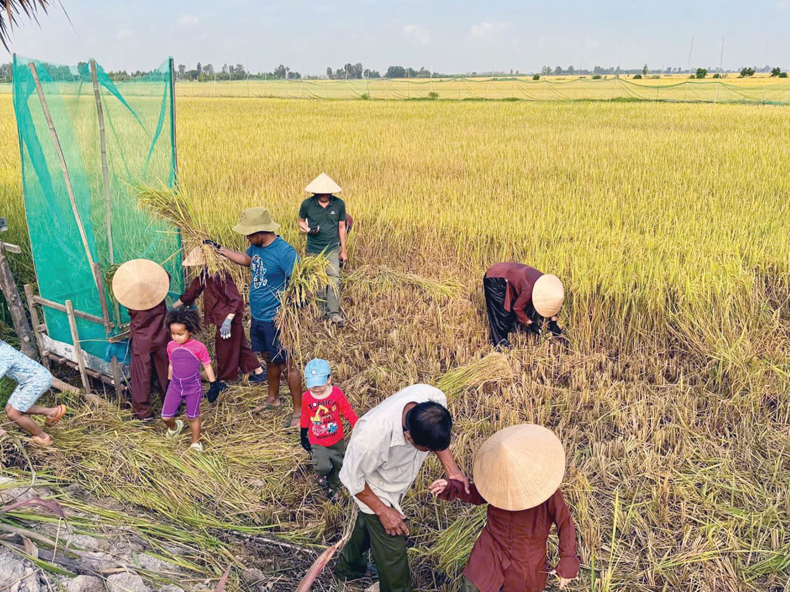 Trải nghiệm mô hình làm nông dân tại cánh đồng sinh thái