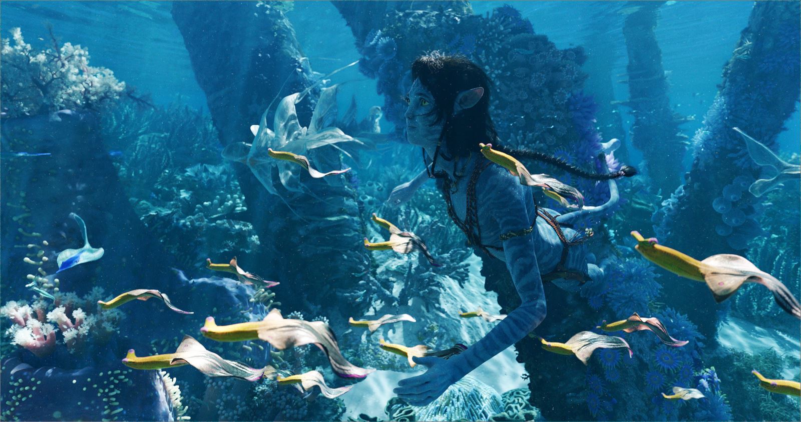 Siêu phẩm “Avatar: Dòng chảy của nước” trở lại rạp chiếu Việt Nam với độc quyền định dạng 3D