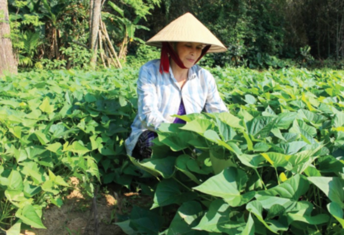 Tô canh cá mờm - ký ức không phai của tuổi thơ xứ Quảng